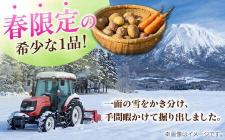 【先行予約】 雪の下にんじんと越冬じゃがいもセット 計15kg（キタカムイ）[BPAM037] 野菜セット