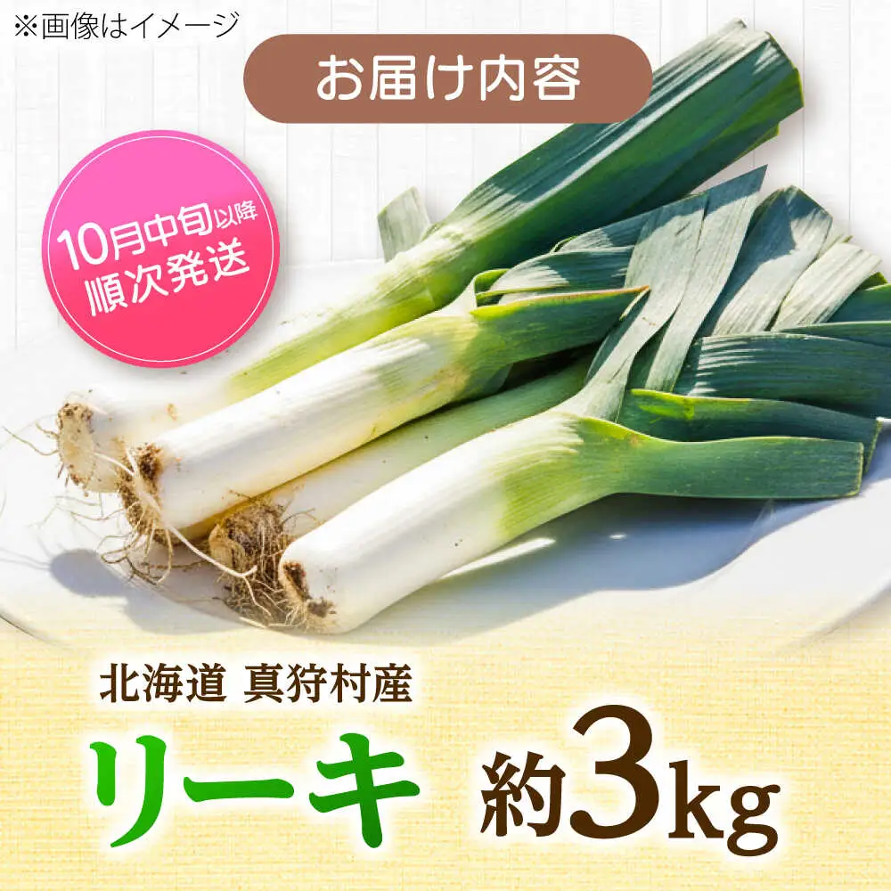 【2026年10月中旬以降順次発送】 リーキ 3kg | 野菜 ネギ ねぎ ポロネギ 西洋ねぎ リーキ | 道の駅 真狩フラワーセンター[BPAM045]