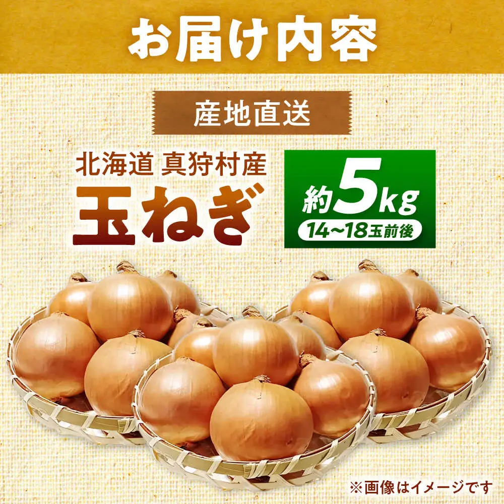 【先行予約】 玉ねぎ 5kg [BPAM079] 玉ねぎ 北海道