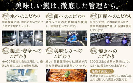 鰻 うなぎ 蒲焼き 4尾 (1尾約140g) タレ 山椒 付き 株式会社薩摩川内鰻《30日以内に出荷予定(土日祝除く)》鹿児島県 さつま町 送料無料 ウナギ 蒲焼 かば焼き 丑の日 うなぎ お取り寄せ グルメ