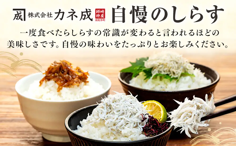 訳あり 釜揚げ しらす 佃煮800g(160g×5袋) 小分け 減塩 無添加 無着色 冷凍 愛知県 南知多町 ご飯 ごはん 丼 料理 国産 カネ成 シラス 人気 おすすめ シラス しらす しらすごはん shirasu sirasu SIRASU 人気シラス