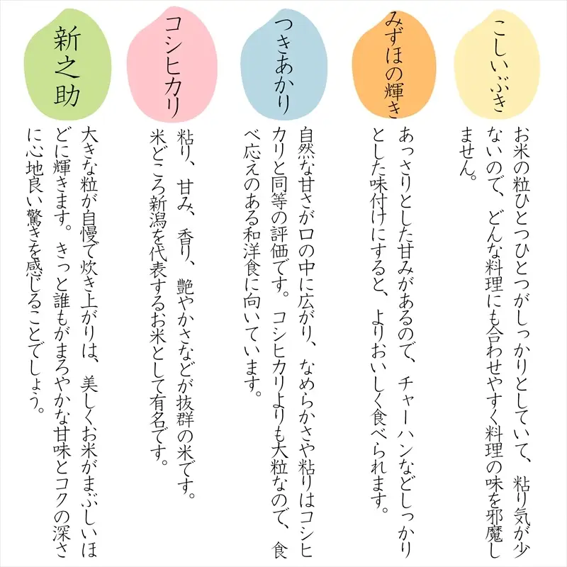【先行予約】【定期便】新之助 新米 米ヴィレッジさんわ 新之助 30kg
