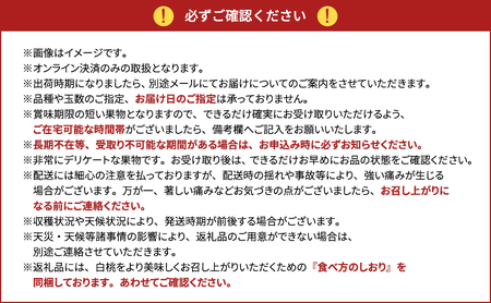 桃 2027年 先行予約 岡山県産 白麗 贈答用 2.0kg(5～8玉) 朝採れ 農家直送