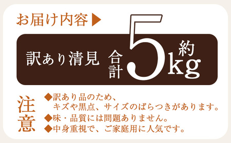 ＜訳あり 清見 (サイズ混合) 約5kg＞ 愛媛 蜜柑 ミカン みかん 果物 フルーツ 柑橘 国産 きよみ 訳アリ ご家庭用 愛媛県産 西予市産 西宇和 特産品 丸二青果 愛媛県 西予市【常温】『2026年3月中旬から順次出荷予定』MMY0019