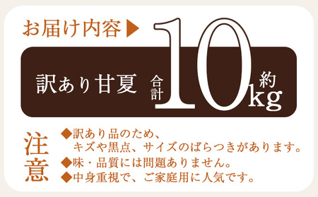 ＜訳あり 甘夏 (サイズ混合) 約10kg＞あまなつ 爽やか 程よい酸味 愛媛 蜜柑 ミカン みかん 果物 フルーツ 柑橘 国産 訳アリ ご家庭用 愛媛県産 西予市産 西宇和 特産品 丸二青果 愛媛県 西予市【常温】『2026年3月上旬から順次出荷予定』MMY0022 