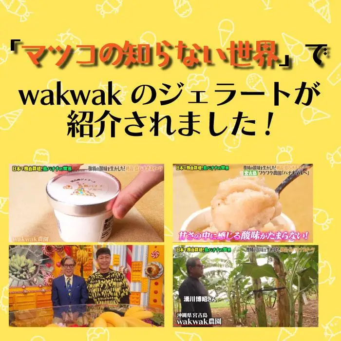 【宮古島産フルーツ使用】宮古島ジェラート 贅沢6種食べ比べセット（WK01）
