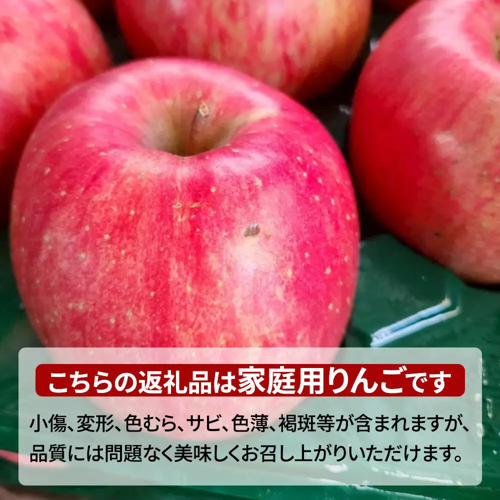 【26年12月発送】りんご 葉とらずサンふじ＆王林 詰め合わせ【訳あり】家庭用 約5kg
