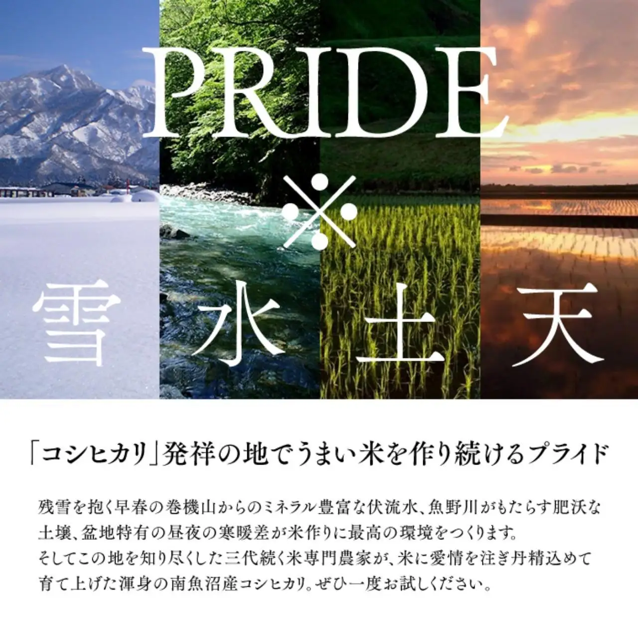 【令和7年】特別栽培米「極上南魚沼産コシヒカリ」（有機肥料、8割減農薬栽培）精米4ｋｇ | コシヒカリ