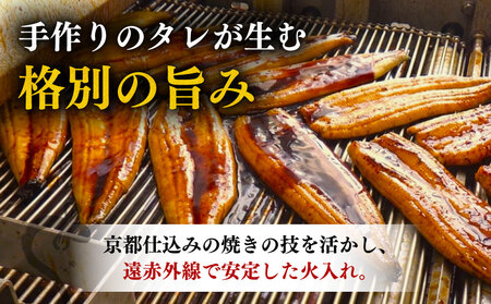 【 うなぎの蒲焼き 】 うなぎの蒲焼 定期便 計20尾 ( 220g × 4尾 × 5回 )