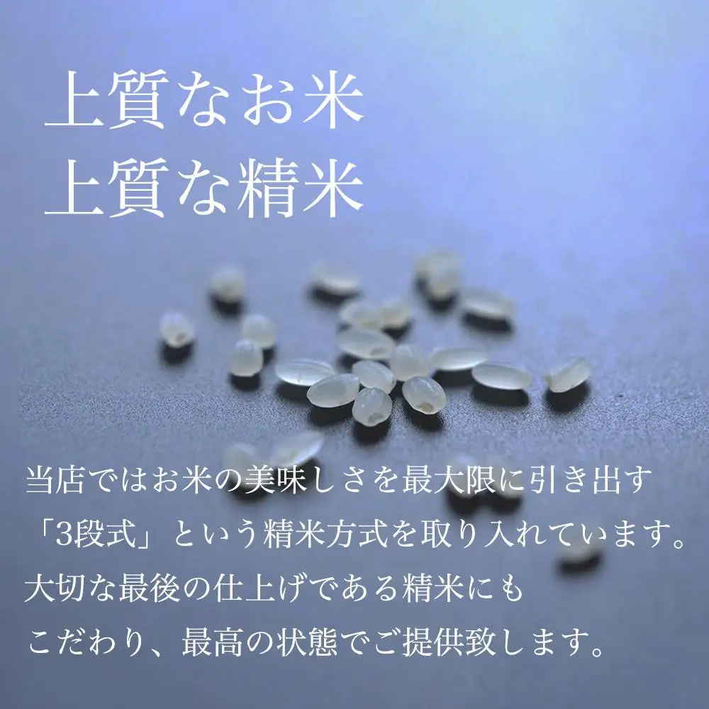 令和7年 南魚沼産コシヒカリ「塩沢地区限定」精米 5kg×1袋|  コシヒカリ