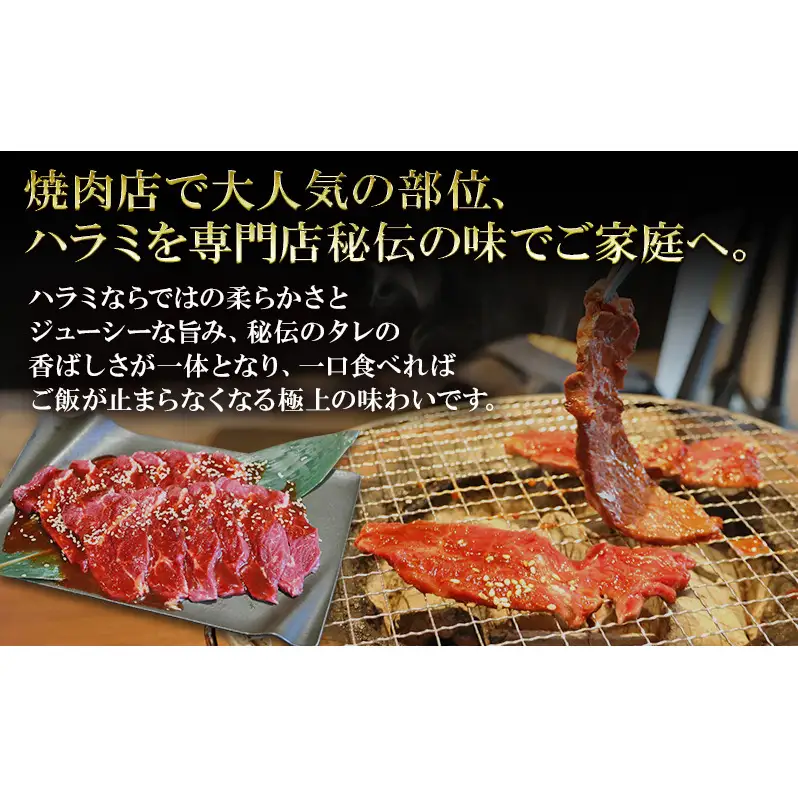 焼肉 牛ハラミ 定期便 2か月 焼肉