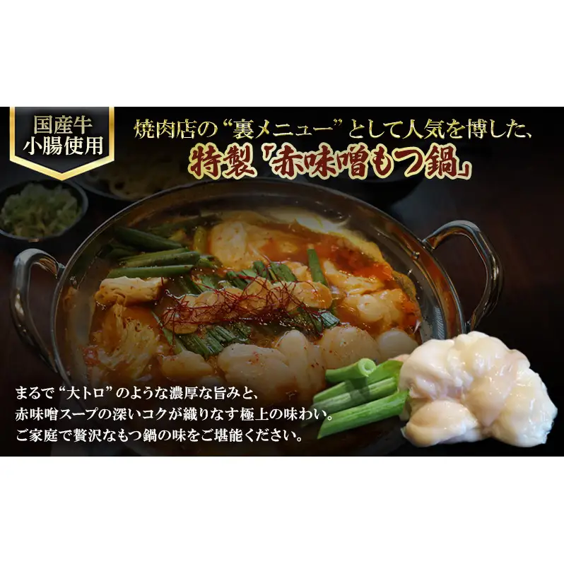 もつ鍋 赤味噌 定期便 6か月 もつ鍋