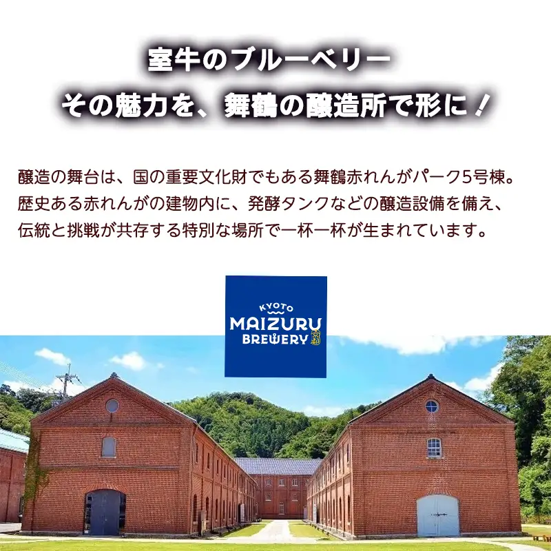 ブルーベリーミライエール 330ml×6本 |  地ビール クラフトビール