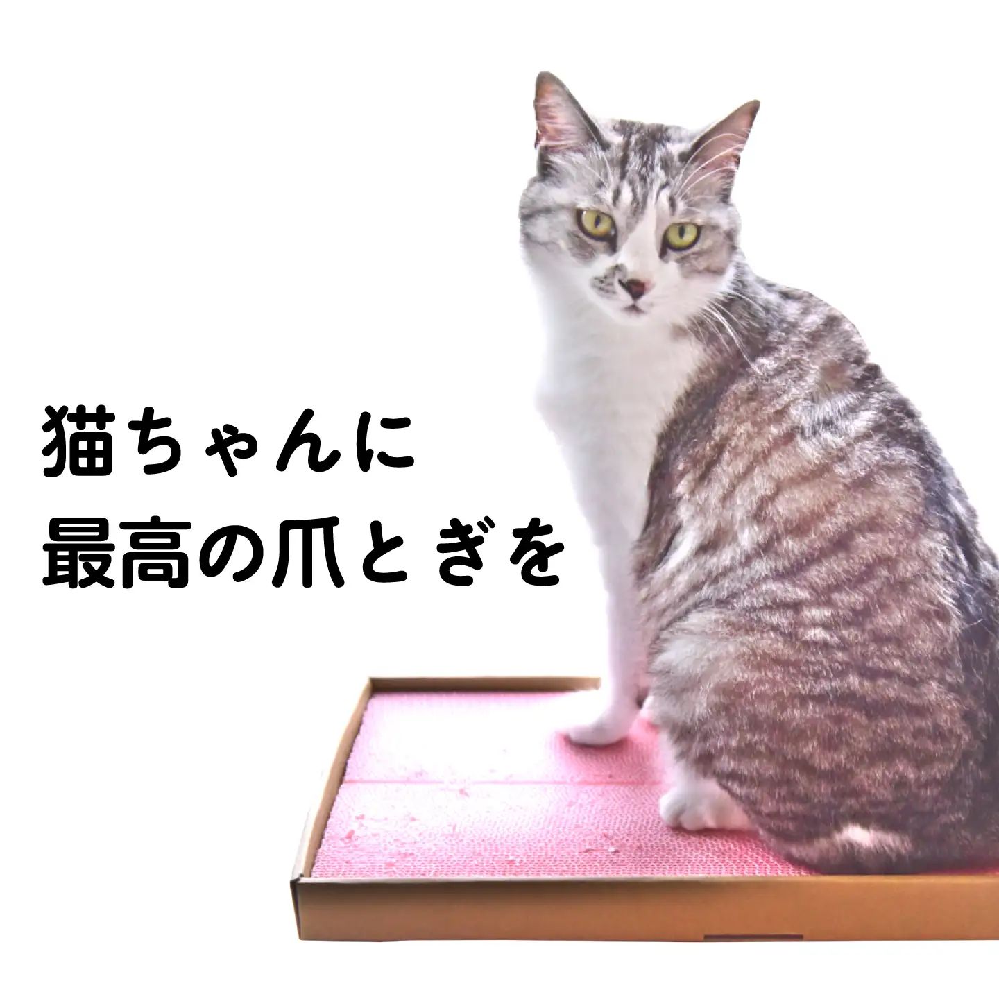 トランス爪とぎ・ブルー / 爪とぎ 猫用爪とぎ 猫 インテリア ペット ねこ ネコ 愛猫 ペット ペット用品 段ボール ダンボール / 恵那市 / 東濃コアー[AUEZ004]
