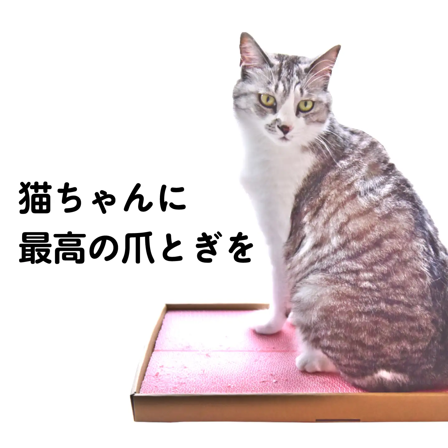 トランス爪とぎ・クリーム / 爪とぎ 猫用爪とぎ 猫 インテリア ペット ねこ ネコ 愛猫 ペット ペット用品 段ボール ダンボール / 恵那市 / 東濃コアー[AUEZ006]