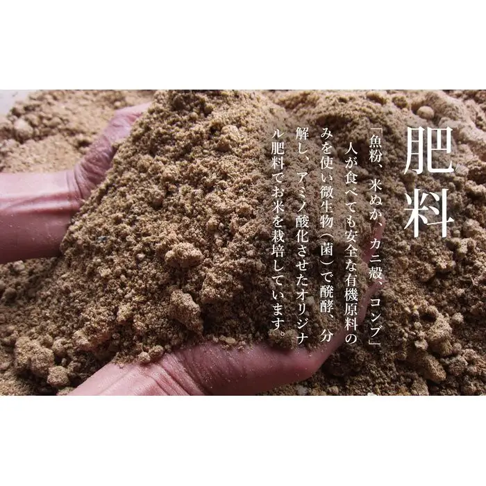 【令和8年 新米】関智晴がつくる南魚沼塩沢産コシヒカリ5kg 8割減農薬栽培米 | コシヒカリ
