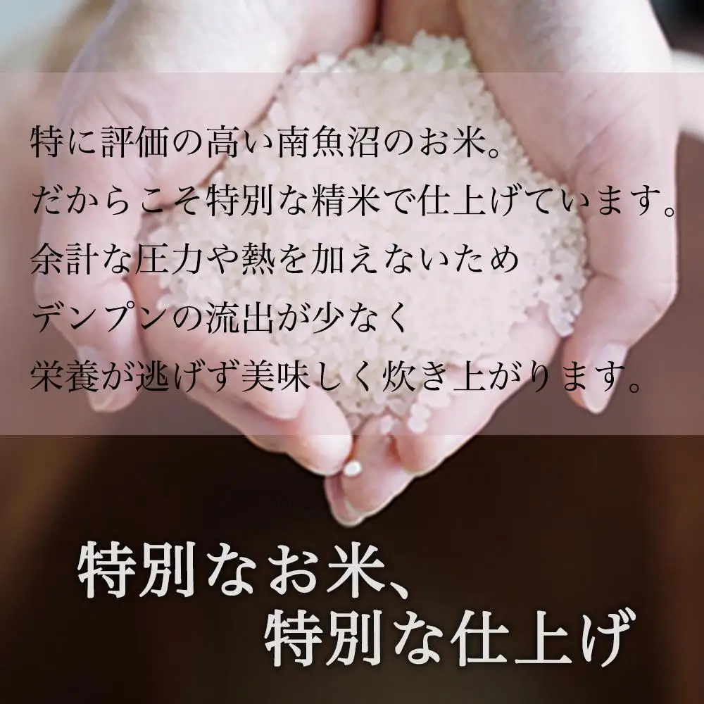令和7年 南魚沼産コシヒカリ 《吟精無洗米》 2kg×4袋　|  コシヒカリ