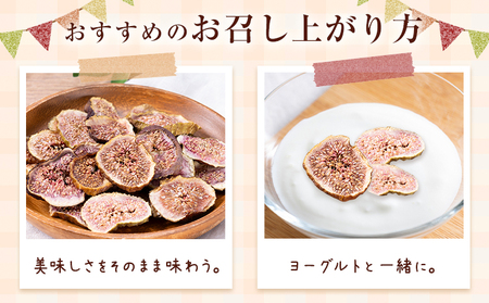 ドライいちじく 40g × 1袋 いちじく 無花果