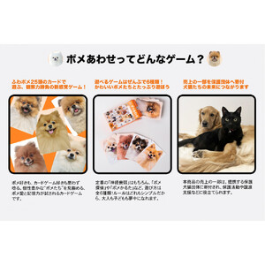 もふもふポメラニアンが大集合！ポメあわせ