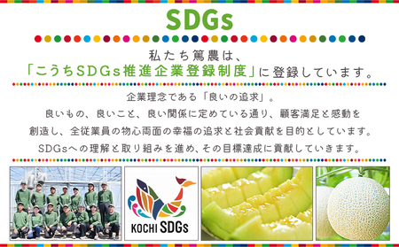 【２回定期便】マスクメロン（贈答用） 1玉入 青肉品種 高級メロン！ ／ マスクメロン 果物 フルーツ ギフト 農家直送 Wtn-0058