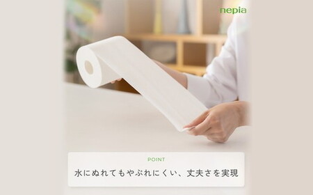 【定期便】2回発送 選べる発送間隔 ネピアトイレットロール12ロールダブル×6パック | 日用品 消耗品 必需品 ティッシュ トイレットペーパー トイレットロール ダブル 無香料 ストック 花粉症 花粉 防災 備蓄 まとめ買い 全国 発送 一人暮らし nepia ネピア プレミアム