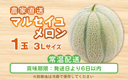 【先行予約】農家直送 砂丘地栽培 赤肉メロン 福井県産 マルセイユメロン 3Lサイズ 1玉【2027年6月上旬以降順次発送予定】 [A-21803]