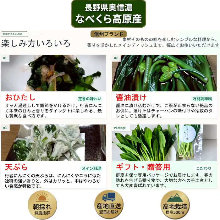 【令和9年産先行予約】＼訳あり／行者にんにく 忍 500g入り 1箱(70枚～75枚)《出荷時期：2027年5月中旬頃〜》株式会社ForestDoor (Ce-014)
