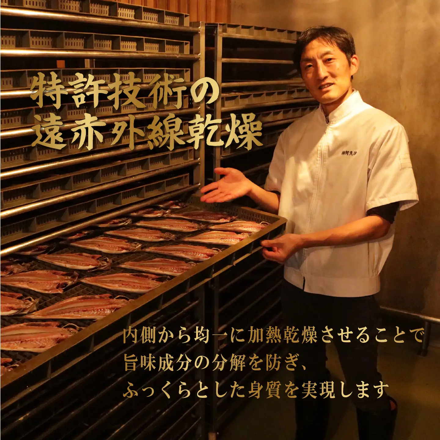 訳あり 縞ほっけ 1.3kg 【縞ほっけ】