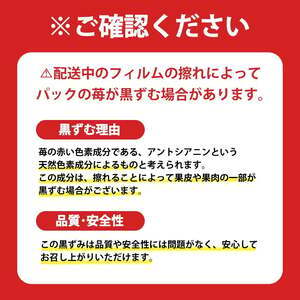 【先行予約】古都華 大粒 1パック×3セット【2027年1月～順次発送】