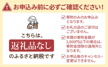 【返礼品なし】長野県 岡谷市 応援寄附金 100,000円