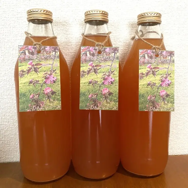 御所川原りんごジュース (1Ｌ×3本) / ストレート果汁100% 果肉まで赤～いりんご「御所川原」使用 りんごジュース