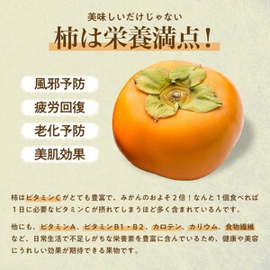 【令和8年産柿/先行予約】優しい農園の特選次郎柿 5kg 次郎柿 