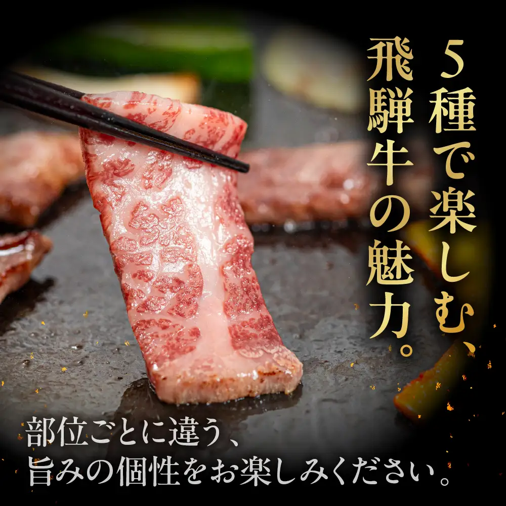 飛騨牛 焼肉 5種 食べ比べセット（各100g）計500g （カルビ・肩・モモ・ロース・トモサンカク）【22-53】