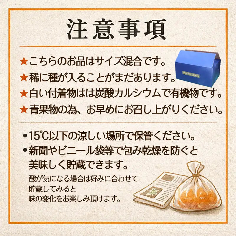 『予約受付』【令和9年1月下旬より順次発送】農家直送！施設育ちの希少柑橘 麗紅(箱込み2.5kg)
