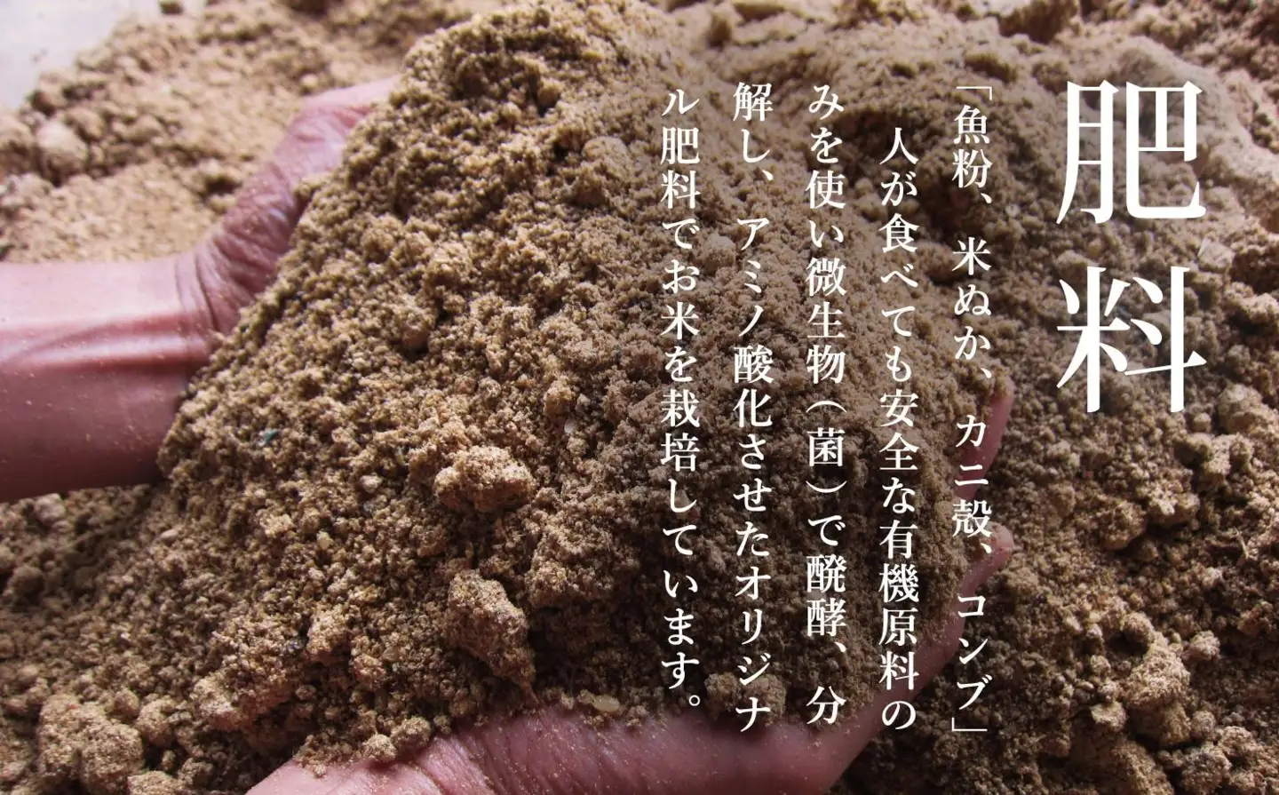 【令和8年 新米】関智晴がつくる最高級 南魚沼産コシヒカリ 金丸 30kg(5kg×6) 栽培期間中 農薬化学肥料不使用 | コシヒカリ