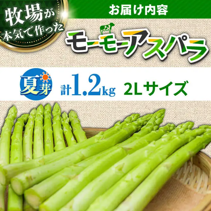 【先行予約】モーモーアスパラ 夏芽 2L 1.2kg（6月上旬から順次発送） 酪農 牧場 こだわり アスパラガス おすすめ 大分県　日田市 / 株式会社本川牧場[ARAI039]