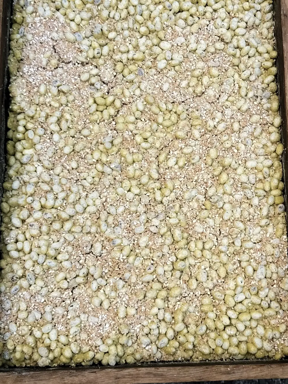 長野県産丸大豆使用 天然熟成もろみをしぼった醤油 うすくち1L×2本【010-d1】