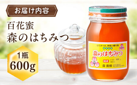 森のはちみつ 百花蜜 600g 蜂蜜 ハチミツ 大村市 三浦かんさく市[ACAE006]