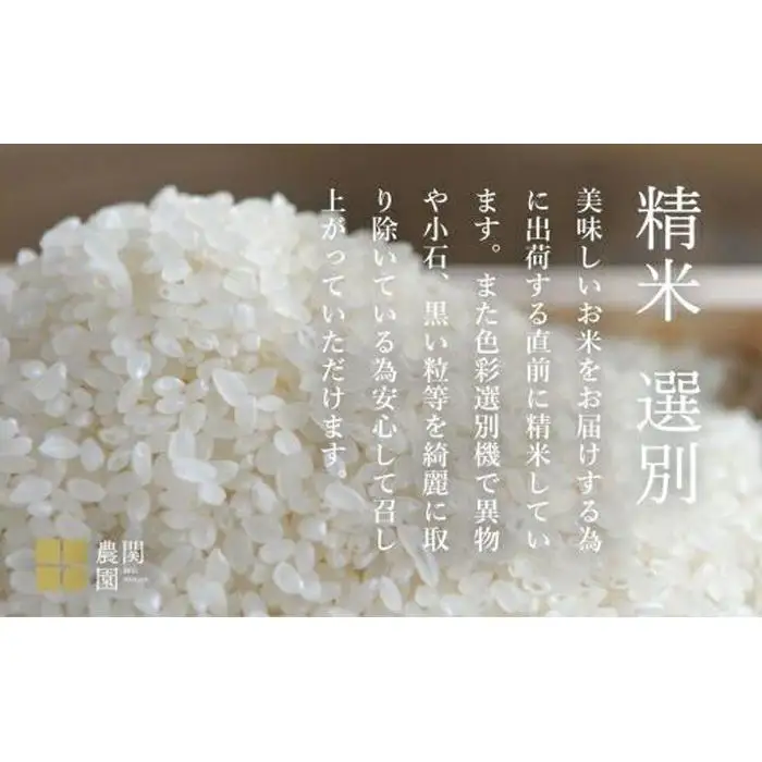 【定期便令和7年】南魚沼コシヒカリ10kg×全12回　旧塩沢地区限定米 | コシヒカリ