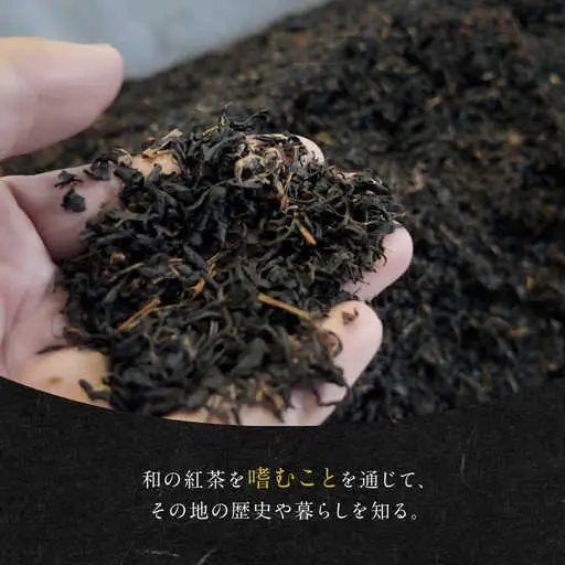 発酵和茶Trinitea 二番茶リーフタイプ 和紙化粧箱入り / ヨリスグリ[AWBV006]和紅茶ギフト