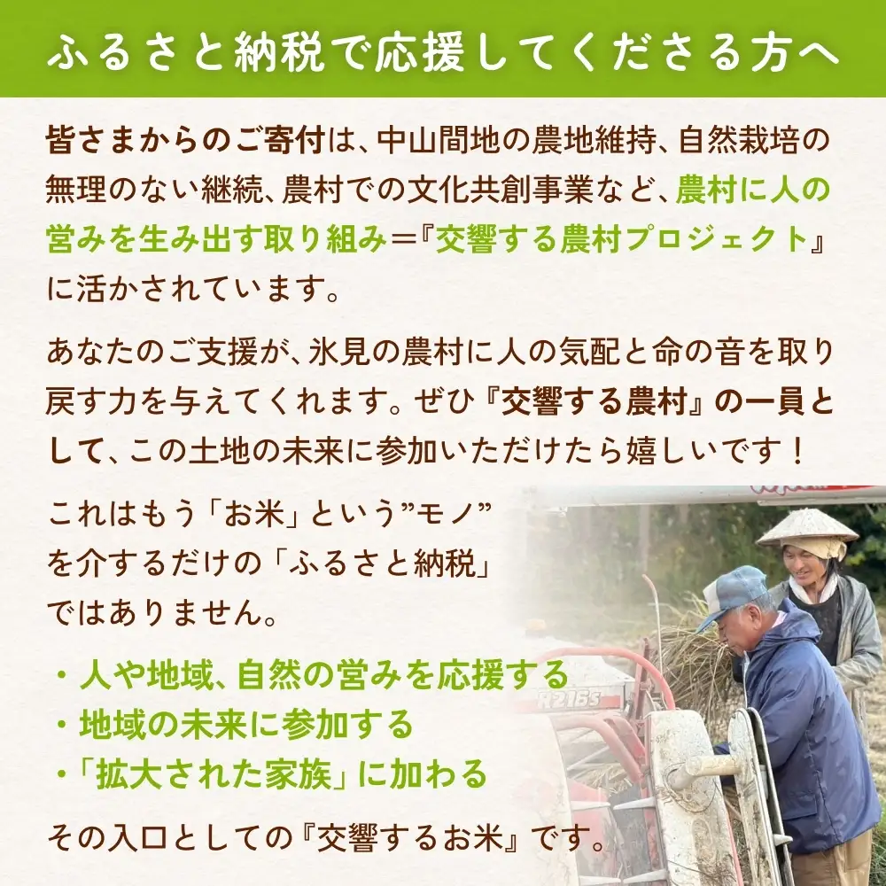 【交響するお米】［古代米ミックス］自然栽培 朝紫&アクネモチ 250g×4袋（ 令和7年産 ） 富山県 氷見市 |  移住農家が里山から直送 米 古代米 紫黒米 緑米