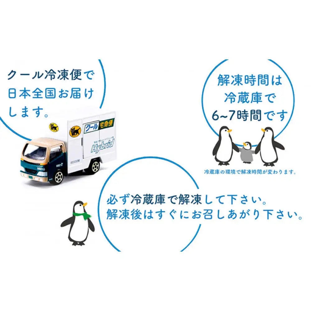 フルーツたっぷりの特製フルーツタルト【20cm】 | タルト