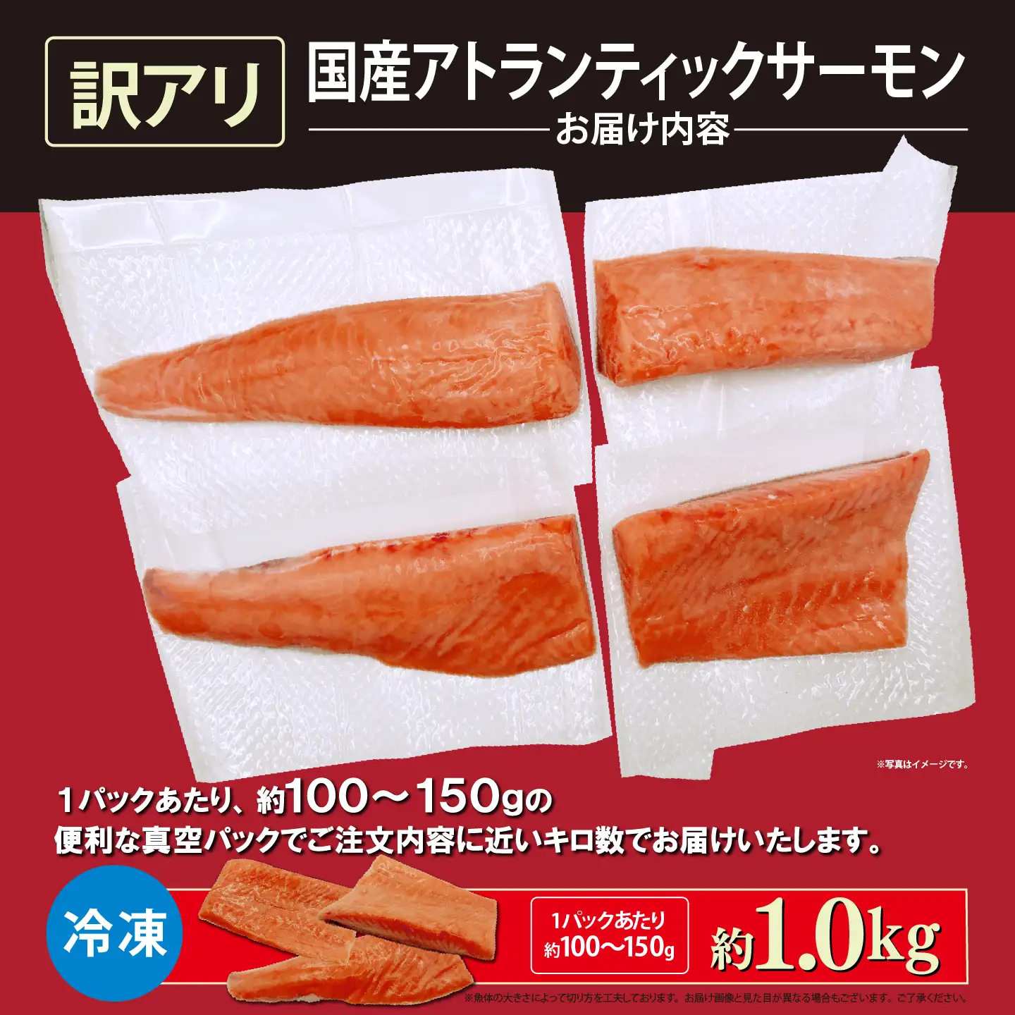 サーモン 訳あり 約1kg 国産サーモン