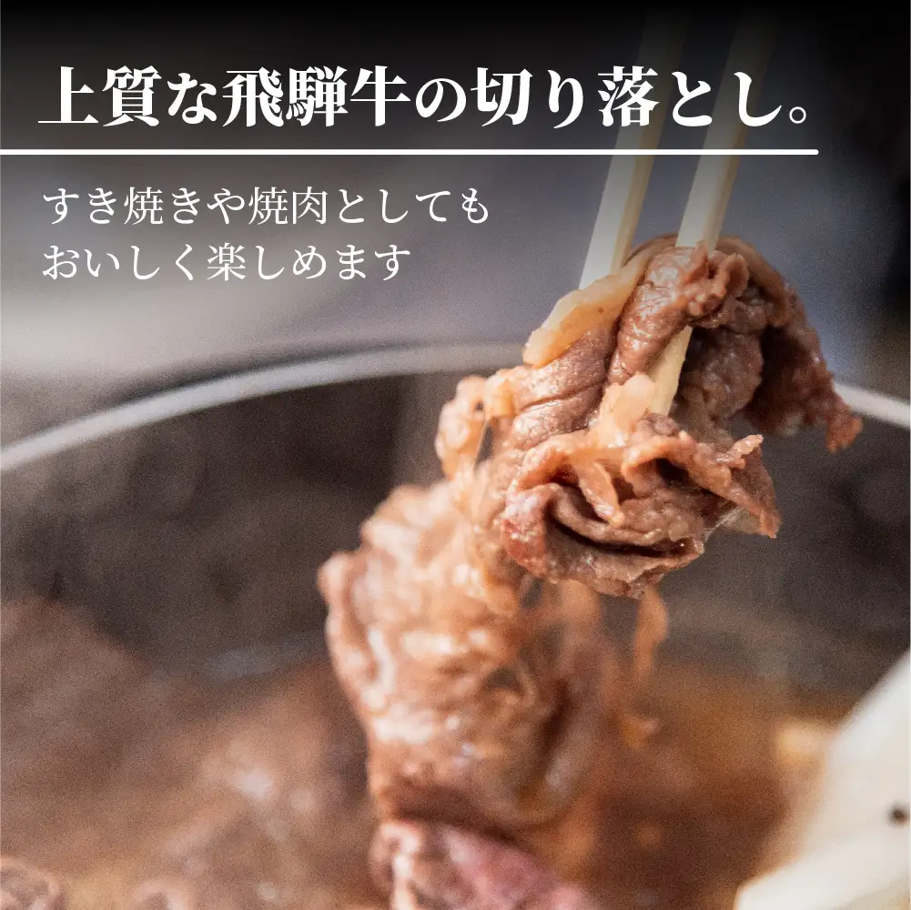 牛肉 飛騨牛 訳あり 切り落とし500g 牛肉 LR011