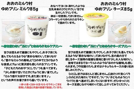 おおのミルク村 乳製品満足セット 