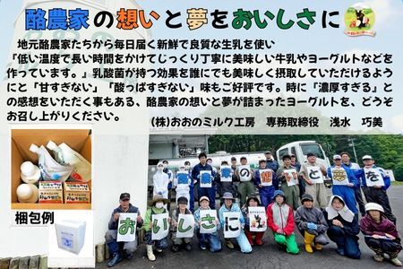 【3ヵ月定期便】おおのミルク村 ゆめ牛乳・ヨーグルトセット のむヨーグルト