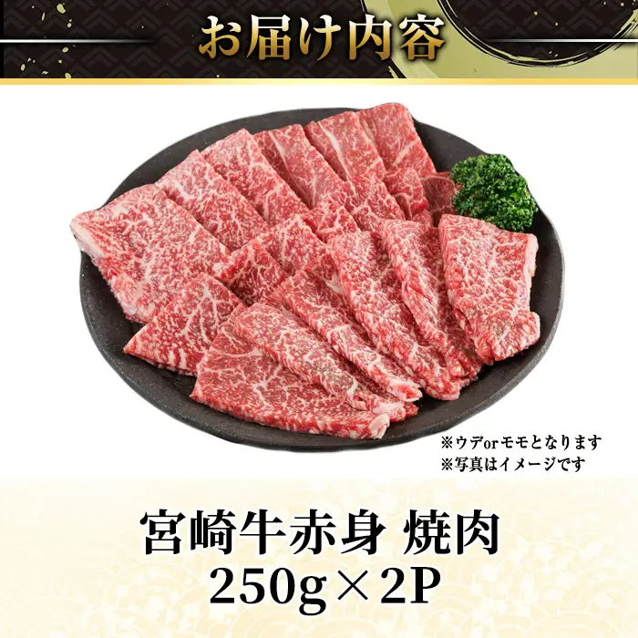 宮崎牛 赤身カット 焼肉 (計500g・250g×2) 焼肉 お肉 牛肉 黒毛和牛 宮崎牛 ブランド和牛 冷凍 国産 モモ ウデ 宮崎県産 【YM-20】【YAMATO株式会社】