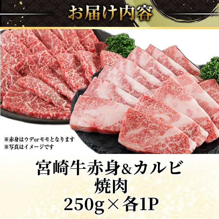 宮崎牛 赤身＆カルビカット 焼肉 (合計500g・250g×2) 焼肉 お肉 牛肉 黒毛和牛 宮崎牛 ブランド和牛 冷凍 国産 カルビ 赤身 宮崎県産 【YM-41】【YAMATO株式会社】