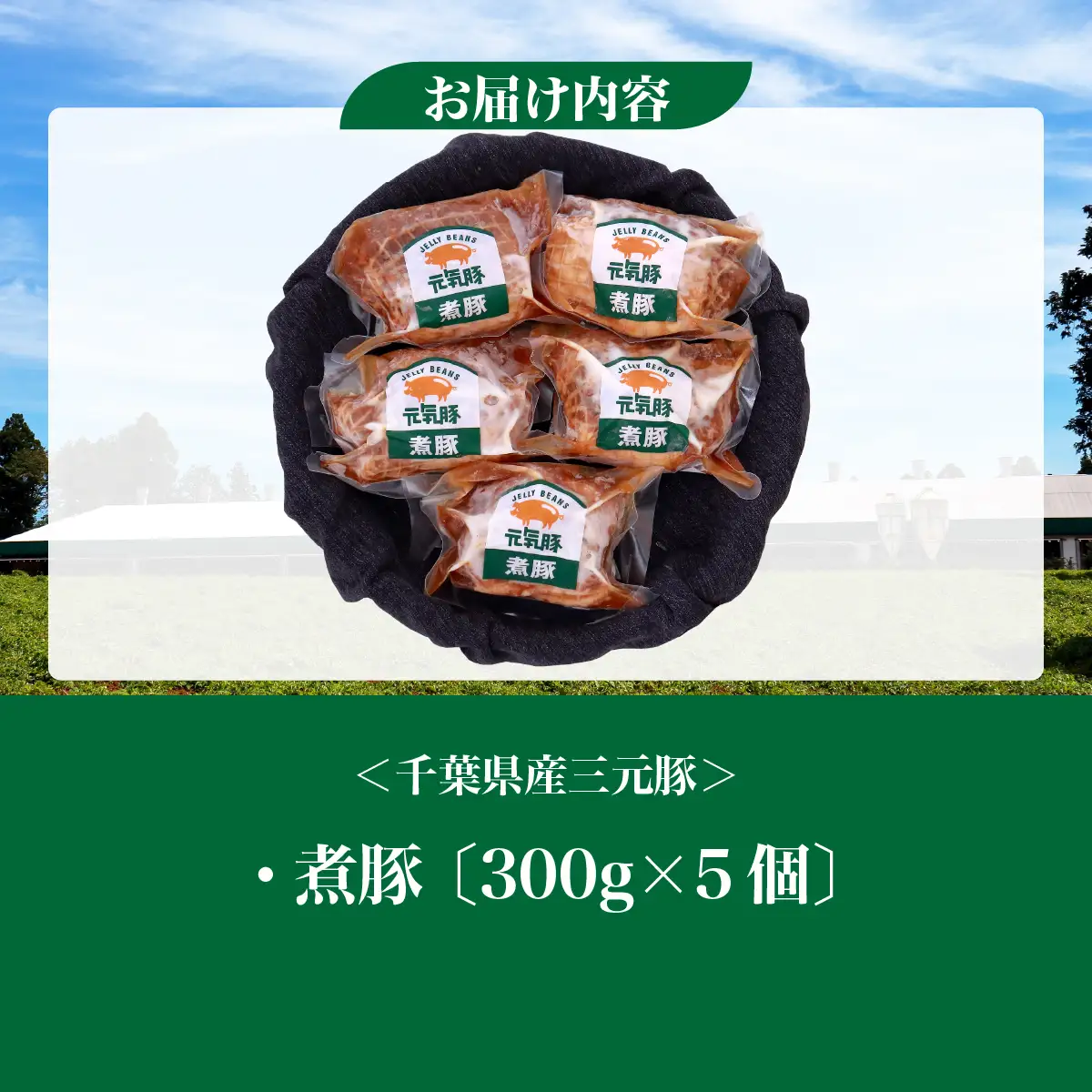 【農場直送】元気豚 煮豚セット 300g×5個_煮豚 セット 農場直送_【配送不可地域：離島・沖縄県】 TAKB015