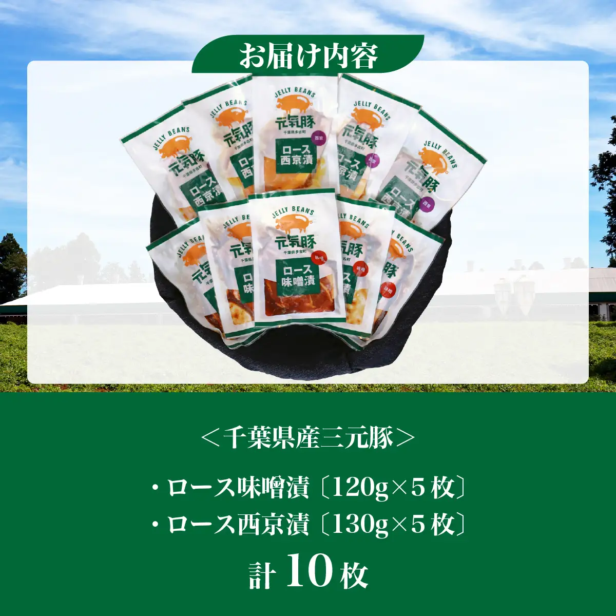 【千葉県産三元豚】元気豚 ロース味噌漬2種セット(10枚入り)_三元豚 ロース 味噌漬 千葉県産_【配送不可地域：離島・沖縄県】 TAKB012